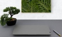 Lenovo 5 14" R5 8GB 256GB Win10Pro